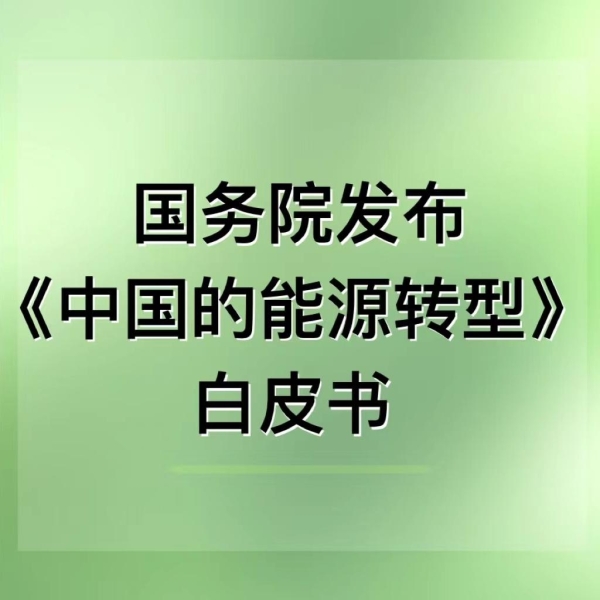 “不是能不能做，而是必须做” | 国务院发布《中国的能源转型》白皮书